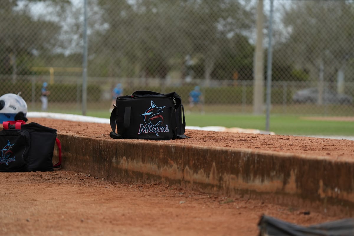 Miami Marlins Spring Training: A Look at the Future and the 2025 Season Ahead