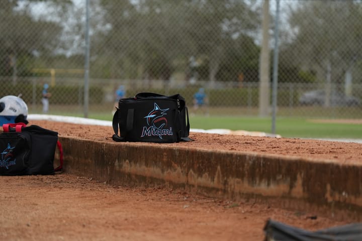 Miami Marlins Spring Training: A Look at the Future and the 2025 Season Ahead